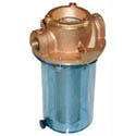 1/2in NPT RAW WATER STRAINER